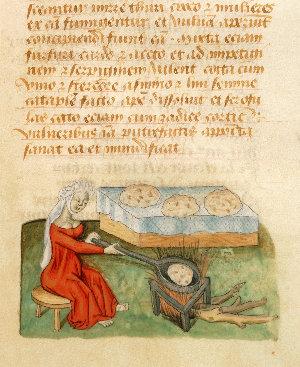 Side fra Tractatus de Herbis av Dioscorides Pedanius av Italian School