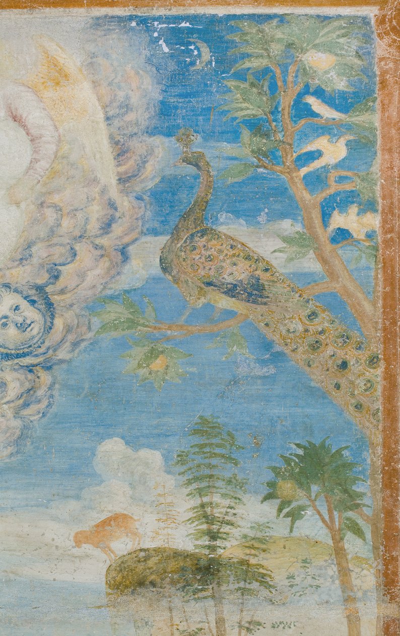 Påfugl, detalj av 3496206 av Italian School