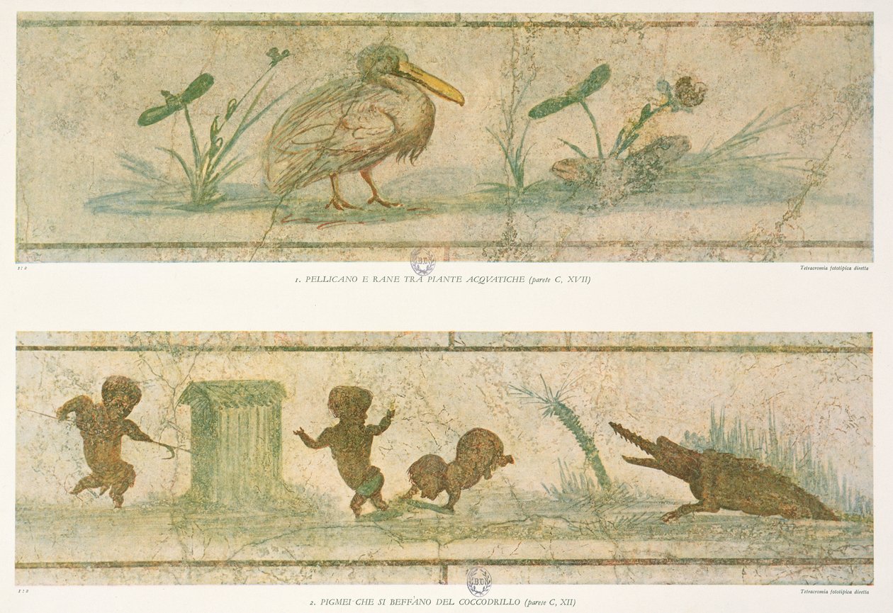 Pelikaner, vannplanter og pygmeer som flykter foran en krokodille, etter de originale freskene, fra Images du Colombier de la Villa Pamphilj av G. Bendinelli, 1941 av Italian School