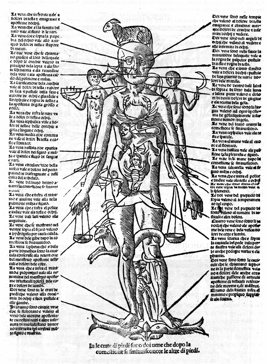 Plate som representerer en menneskekropp med posisjonen til alle organer og stjernetegnene som tilsvarer dem ved deres astrologiske påvirkninger. Plage trukket fra "" Recetoro di Galeno optio e probato a tutte le infirmita che accadeno a huomini e a donne  av Italian School