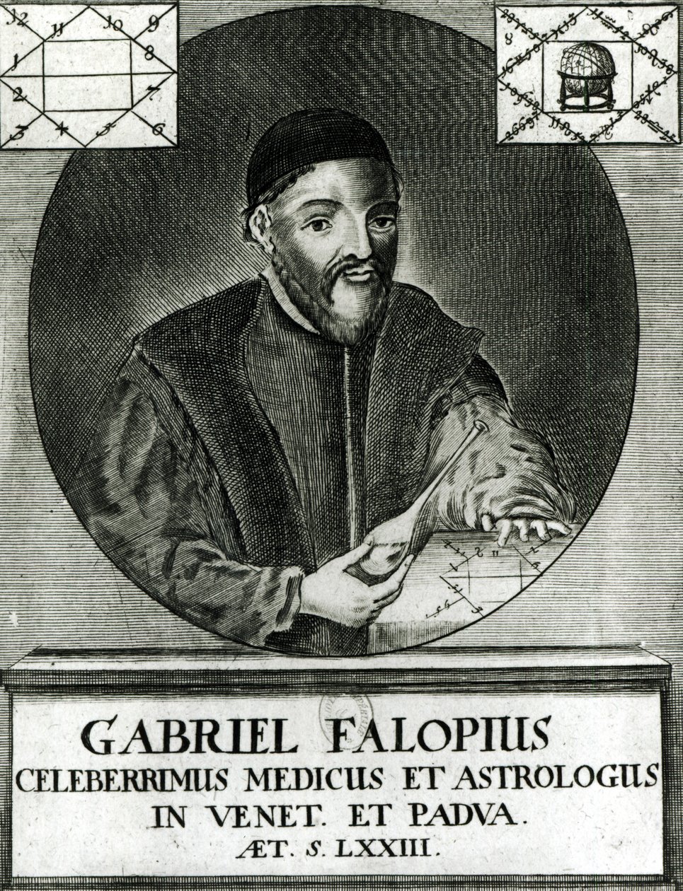 Portrett av Gabriel Fallopius (1523-62) av Italian School