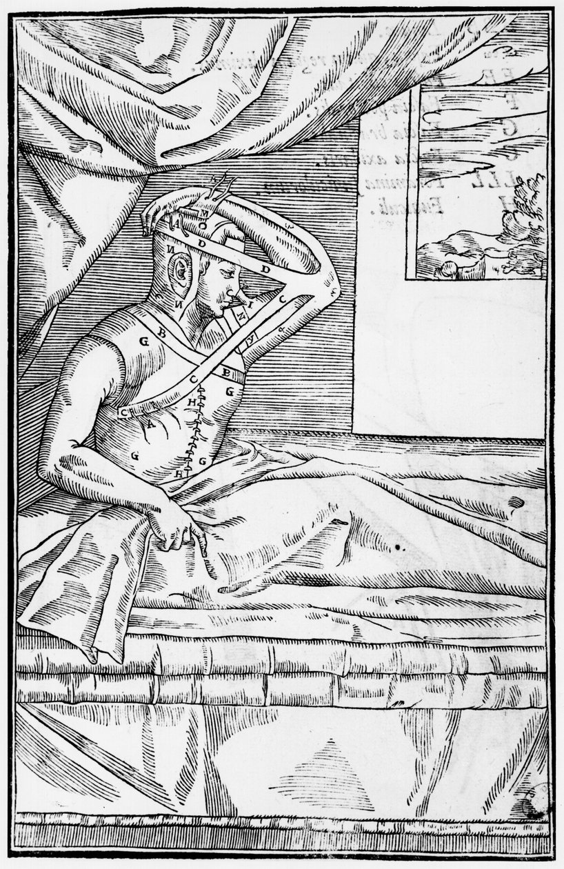 Rekonstruktiv kirurgi på nesen, illustrasjon fra De curtorum chirurgia per insitionem av Gaspare Tagliacozzi (1545-99) Venezia, publisert 1597 av Italian School