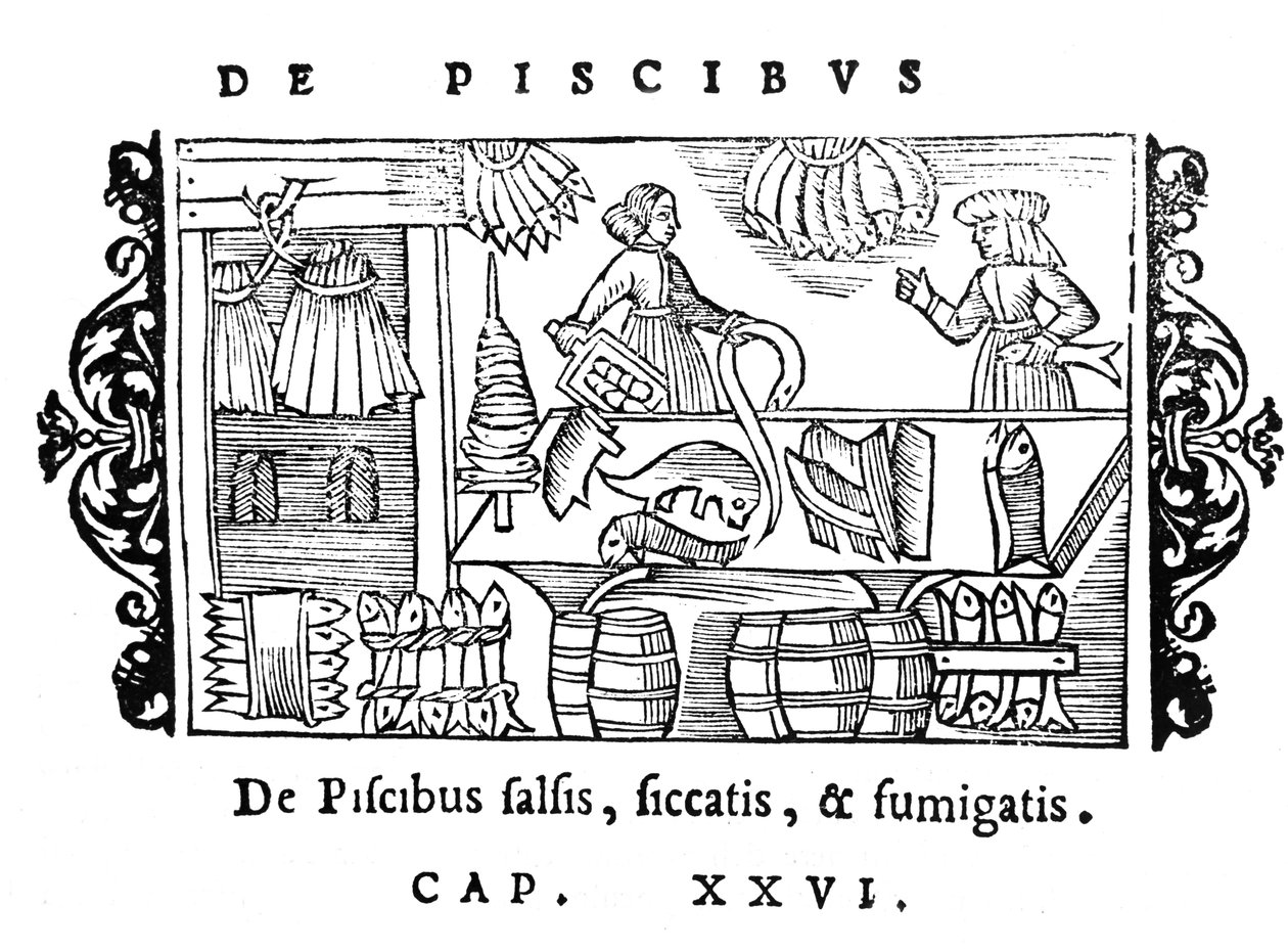 Salting, tørking og røyking av fisk, illustrasjon fra Historia de Gentibus Septentrionalibus av Olaus Magnus (1490-1558), utgitt i Roma, 1555 av Italian School