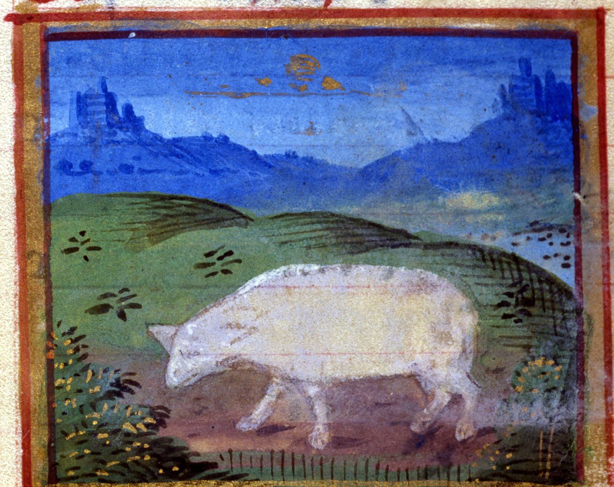 Tegn på væren. Italiensk horoskop, midten av 1400-tallet. av Italian School