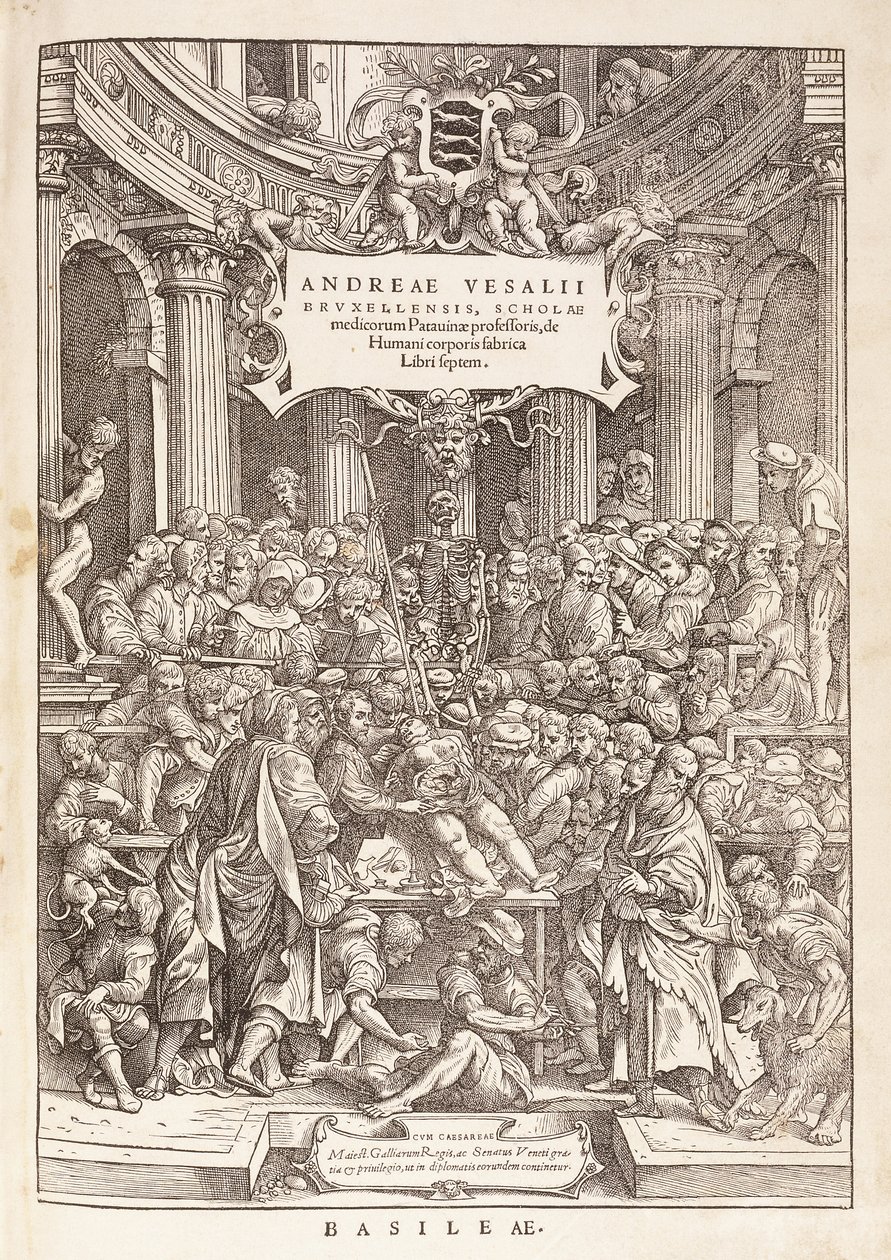 Forfatteren som gjennomfører en anatomisk disseksjon i et kirurgisk teater, 1543 av Italian School