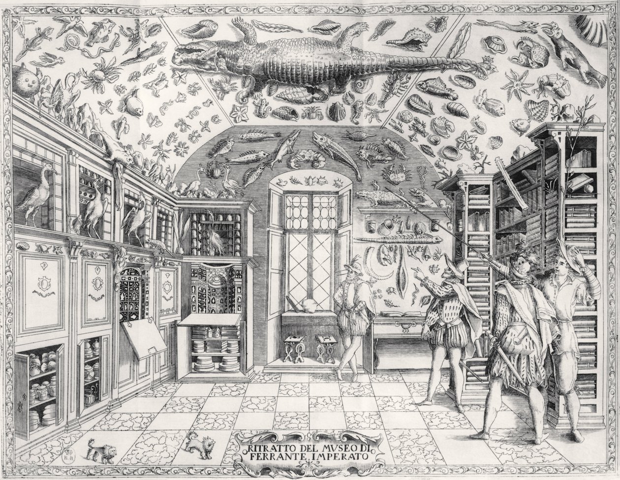 Naturhistorisk museum til keiser Ferdinand III fra Historia Naturale av Ferrante Imperato (1550-1631) pub. i 1672 av Italian School