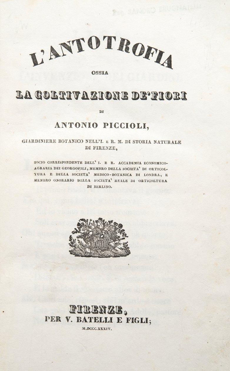 Tittelside, fra The Antotrophy Or The Cultivation Of Flowers av Antonio Piccioli, pub. 1834 (gravering) av Italian School