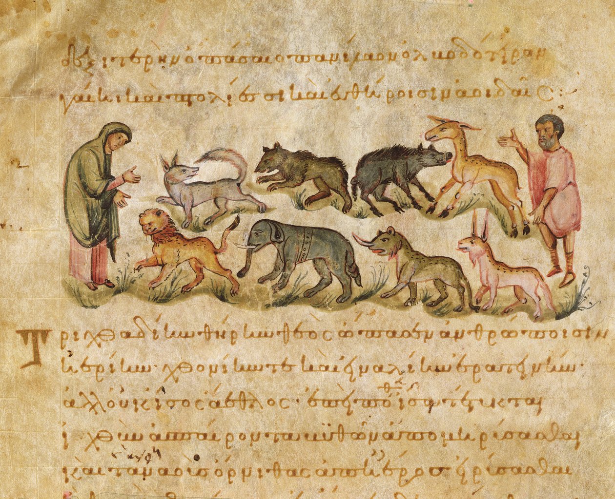 Avhandling om de mange dyreartene som bor på jorden, illustrasjon fra Cynegetica av Oppian (tempera på vellum) av Italian School