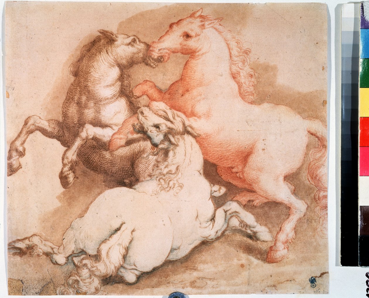 ""En hestekamp"" (kamphester) Pennetegning, blekk fra den italienske skolen. 1550-1600 Pushkin-museet, Moskva av Italian School
