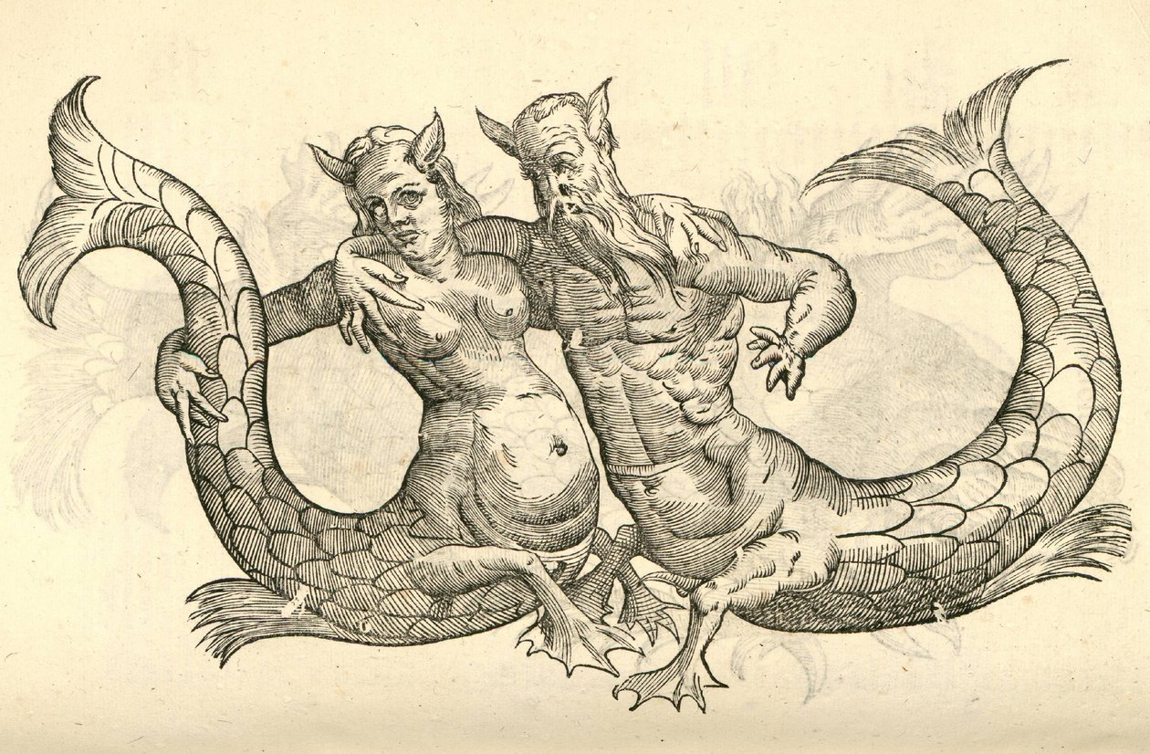 illustrasjon av Monstra Niliaca Parei fra Aldrovandis History of Monsters, 1642 av Italian School
