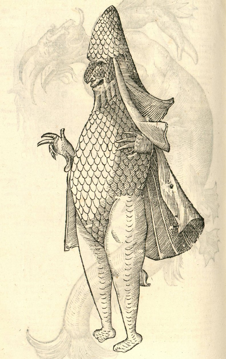 illustrasjon av Monstro Marinus fra Aldrovandis History of Monsters, 1642 av Italian School