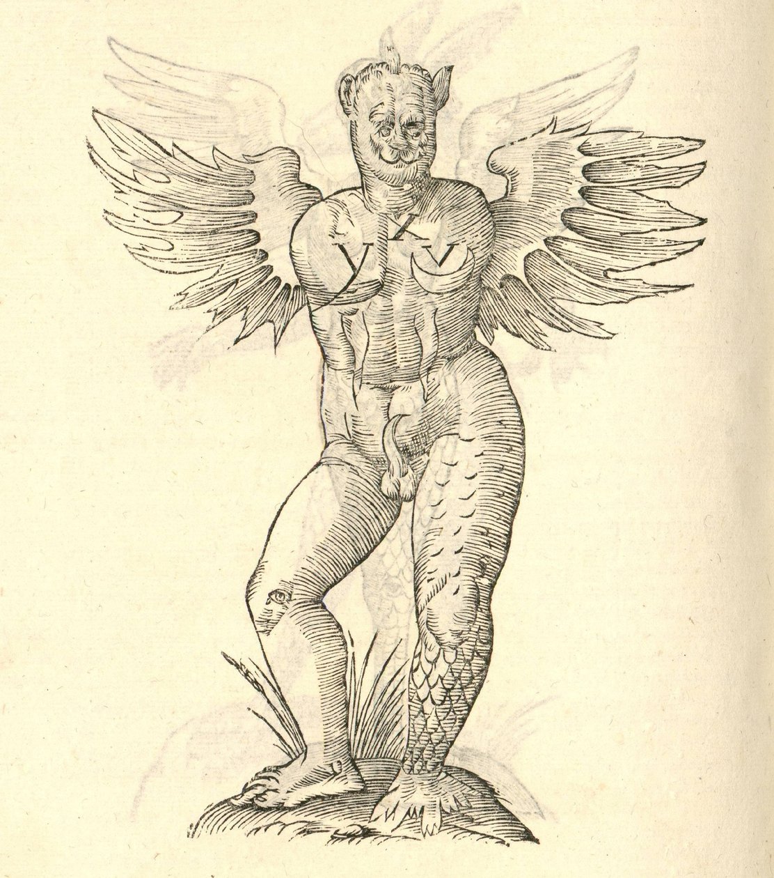 illustrasjon av et bevinget monster fra Aldrovandis History of Monsters, 1642 av Italian School