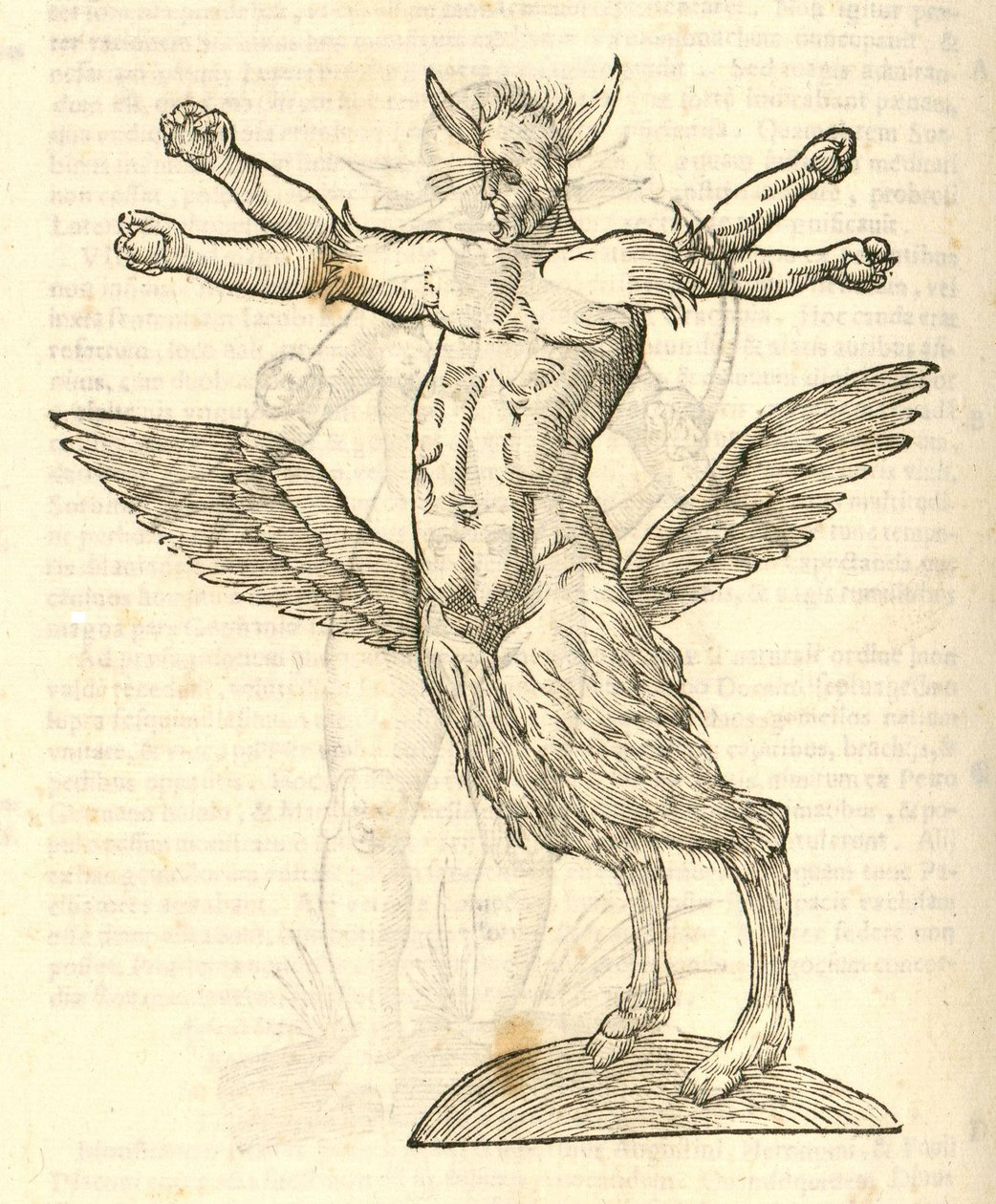 illustrasjon av Monster fra Aldrovandis History of Monsters, 1642 av Italian School