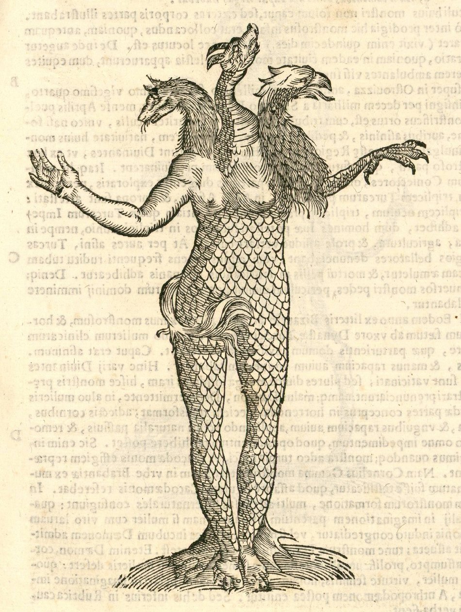 illustrasjon av et trehodet monster med hodet til en rev, drage og ørn fra Aldrovandis History of Monsters, 1642 av Italian School