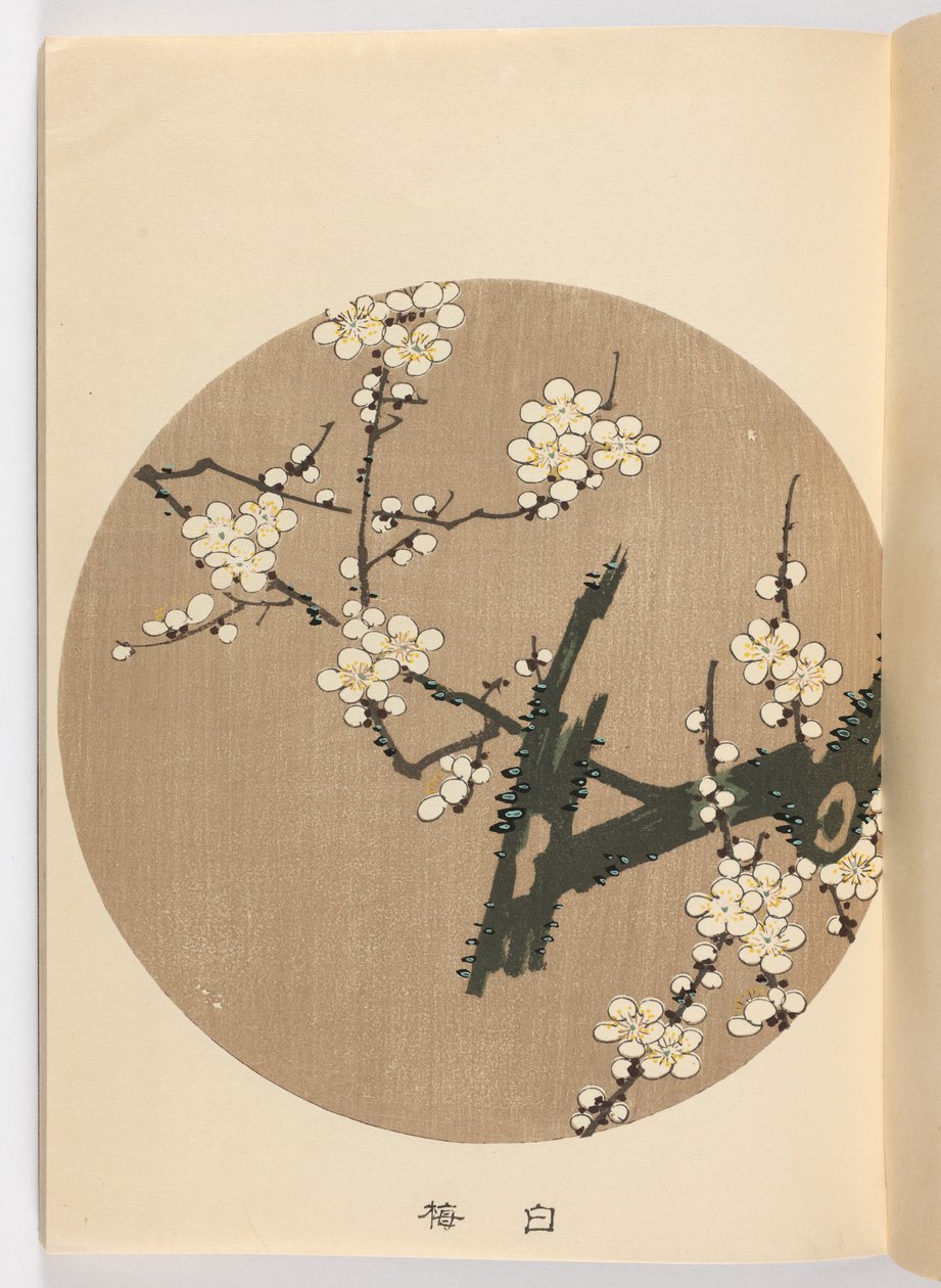Svak lm? Er negativ, Meiji Ella, 1908 (DBock p Hayashi t) av Ito Jakuchu