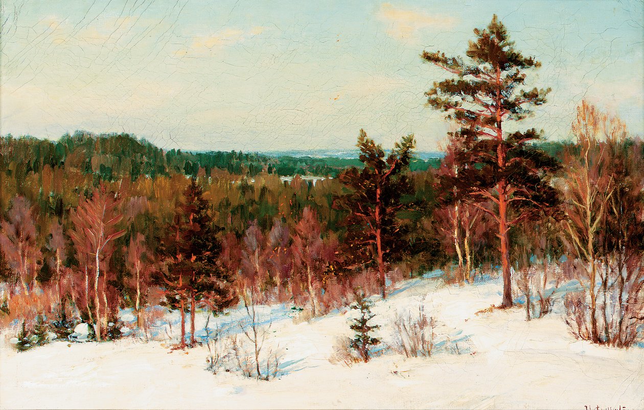 Vinter - Utsikt over skogen av Ivan Fedorovich Choultse
