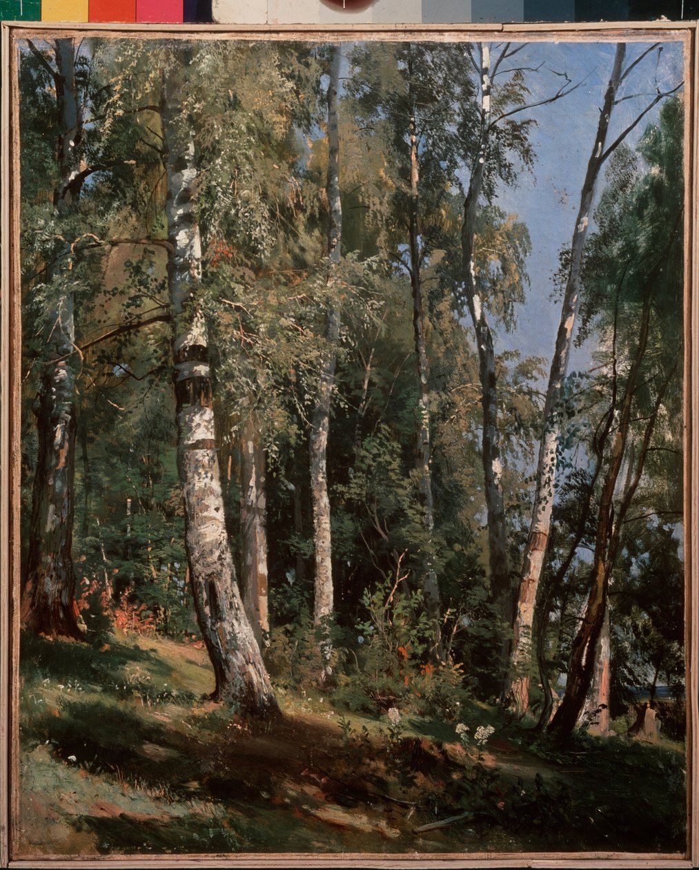 Birch grove (Birch grove) - Maleri av Ivan Ivanovich Shishkin (Shishkin) (1832-1898), olje på lerret av Ivan Ivanovich Shishkin