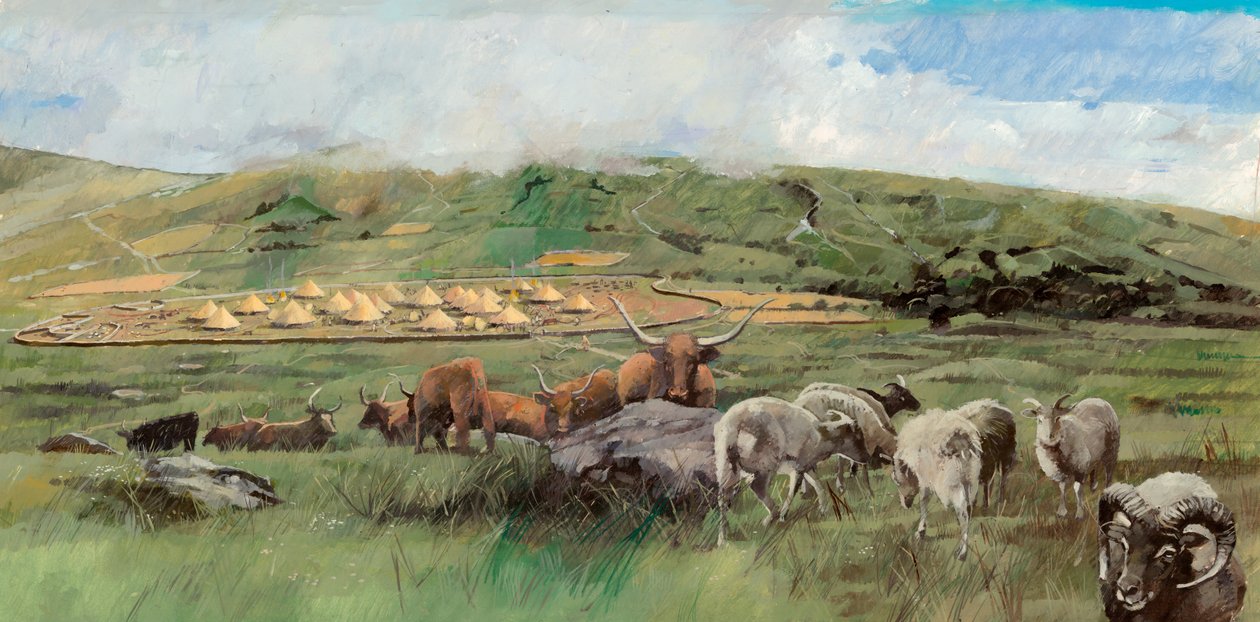 Grimspound, bronsealder, c1990-2010 av Ivan Lapper