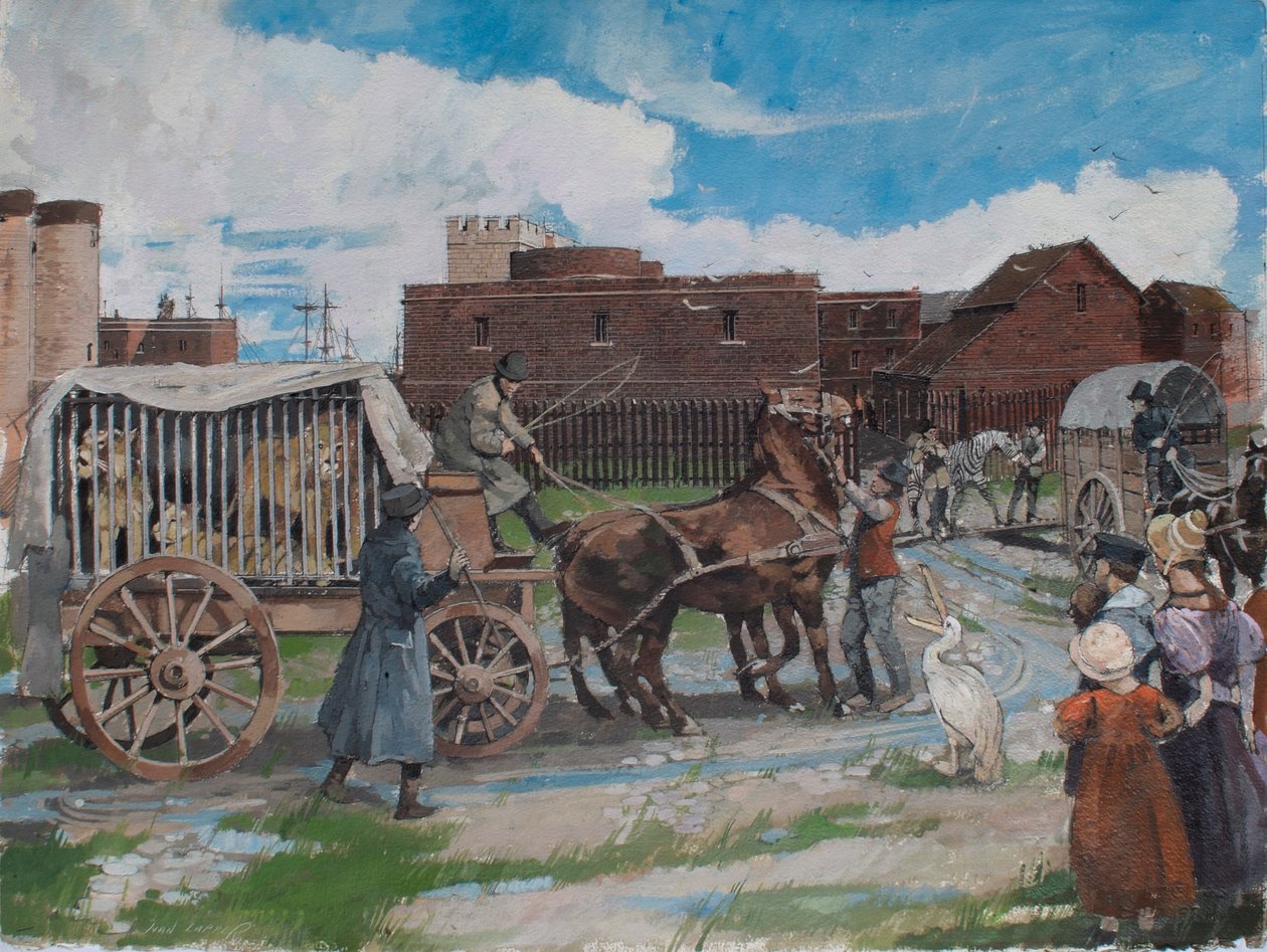  av Ivan Lapper