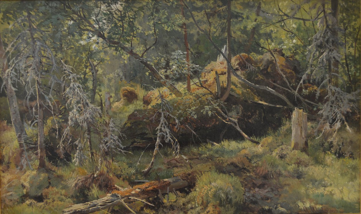  av Ivan Ivanovich Shishkin
