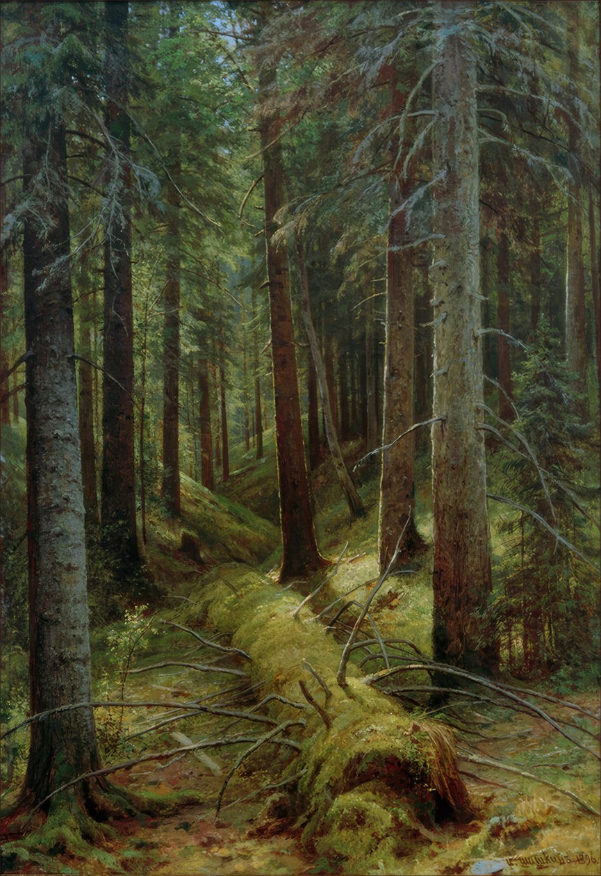 I den russiske skogen av Ivan Ivanovich Shishkin