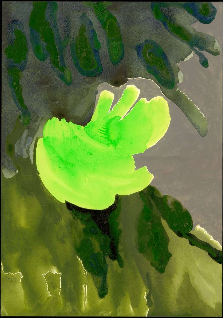 Kensington Gardens Series: Leaf Cascade, 2007 (blandet media på papir) av Izabella Godlewska de Aranda