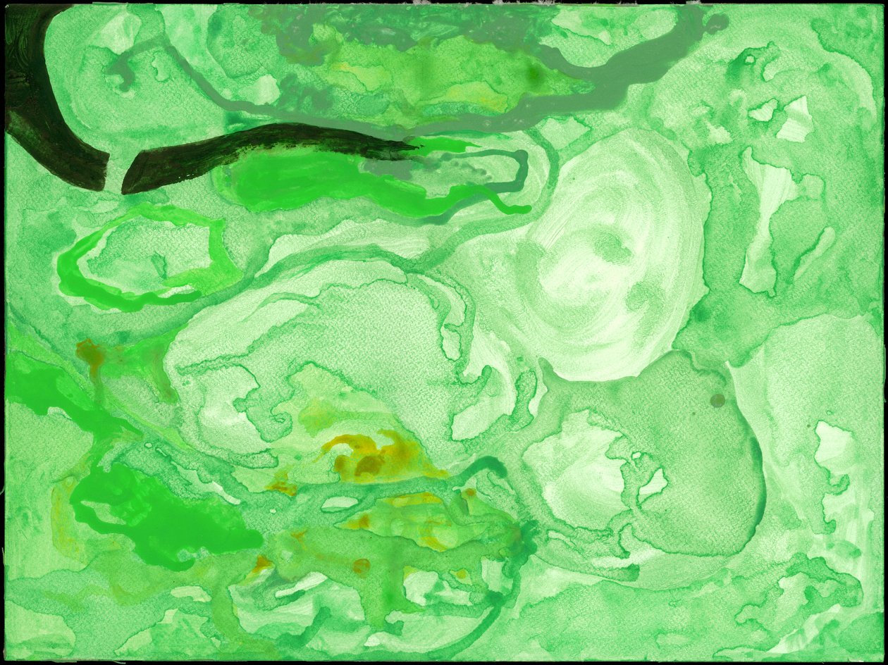 Kensington Gardens Series: The Pool of Chaos (wc på papir) av Izabella Godlewska de Aranda