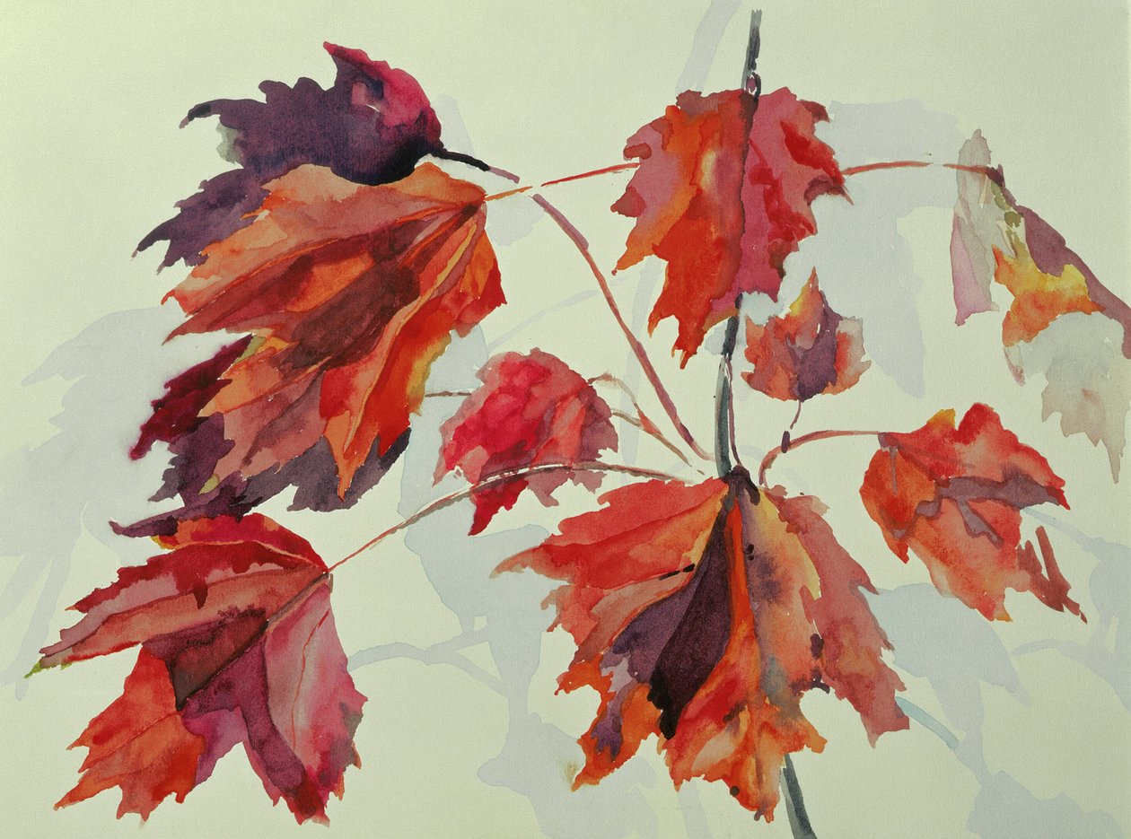 No.24 Autumn Maple Leaves (wc) av Izabella Godlewska de Aranda