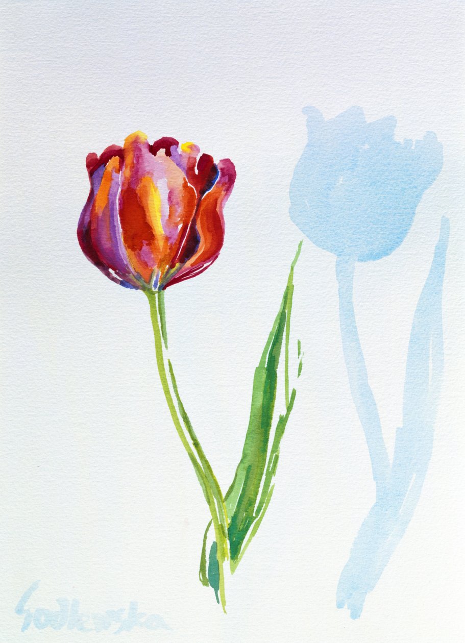 Tulip, 1998 (wc på papir) (se også 124446 og 124447) av Izabella Godlewska de Aranda