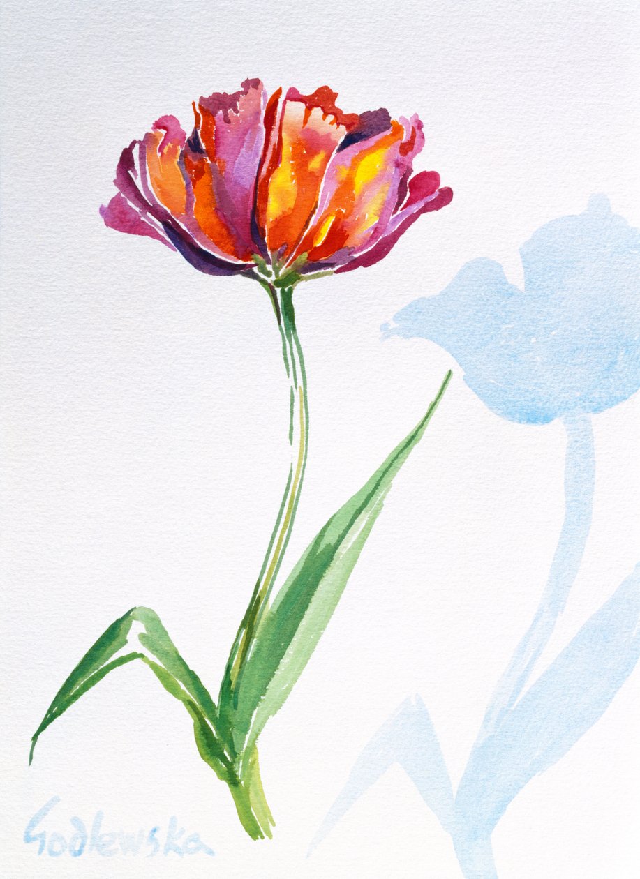 Tulip, 1998 (wc på papir) (se også 124446 og 124448) av Izabella Godlewska de Aranda