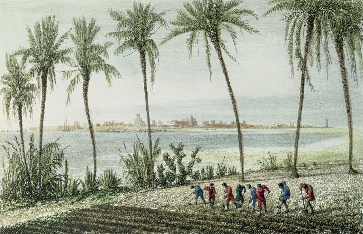 General View of Cadiz, gravert av John Pye (1782-1874) av J. Taylor