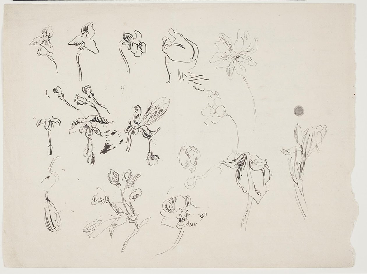Blomsterskitser av J.A. Jerichau