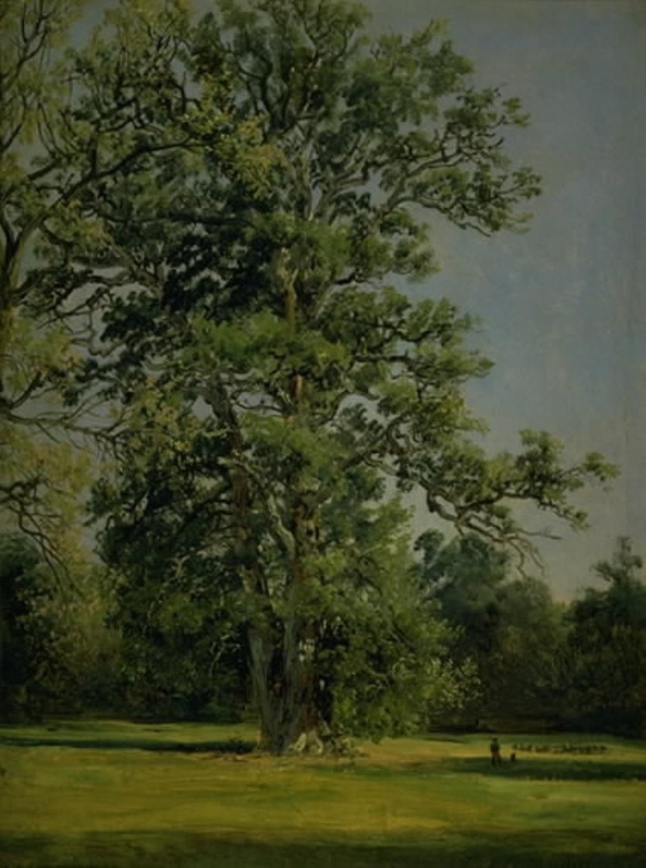 En eik. Utsikt over hagen ved Wörlitz nær Dessau av Johan Christian Dahl