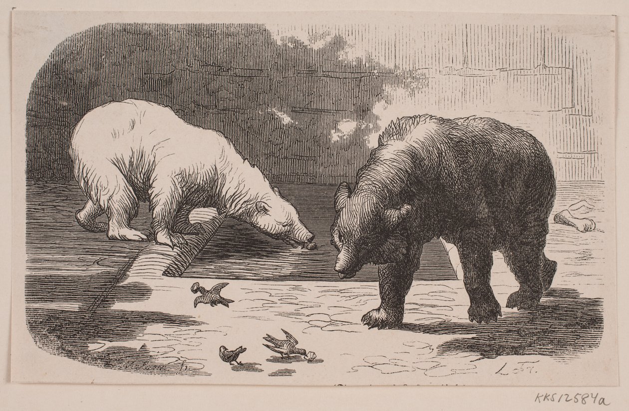 Bjørner i Jardin des Plantes av J.C. Nielsen