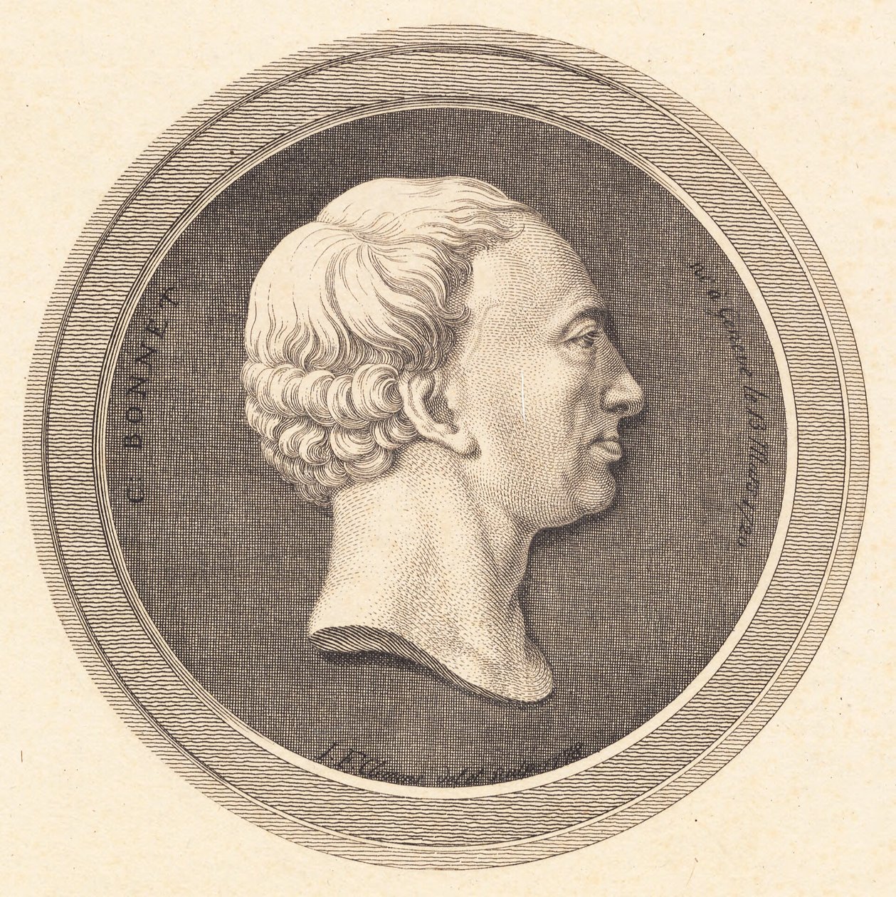 Relieffmedaljong med portrett av Bonnet av J.F. Clemens