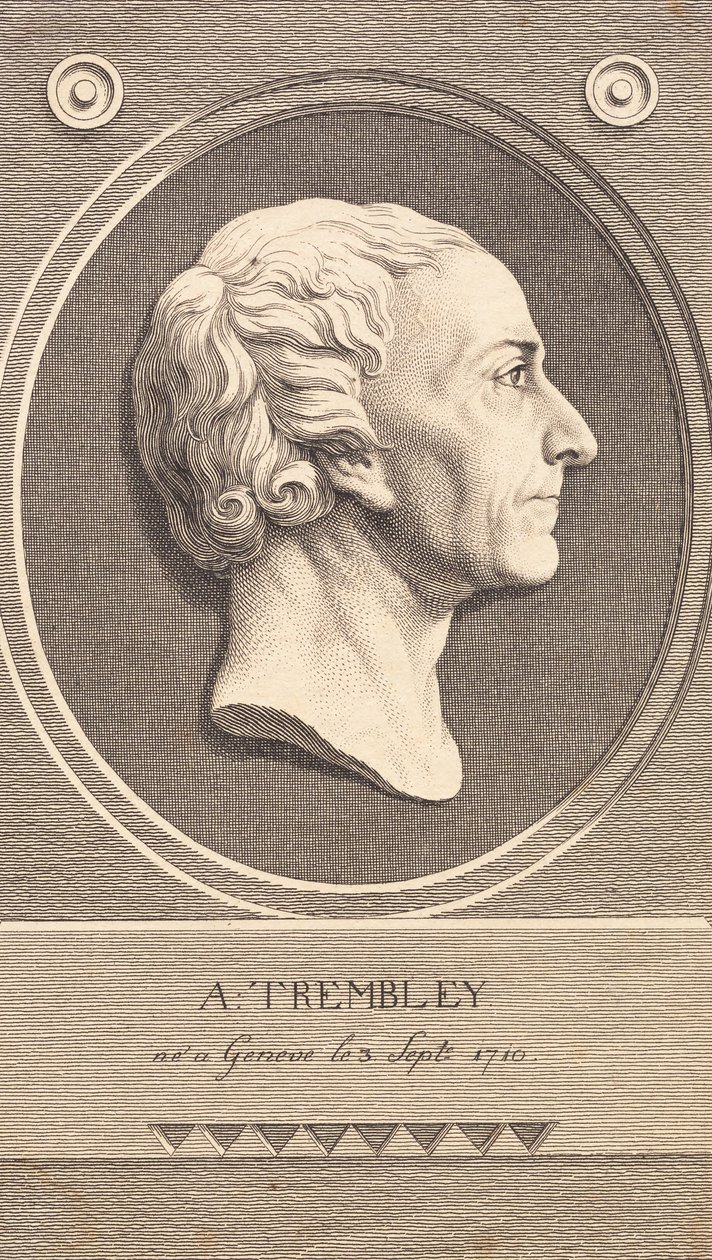 Relieffmedaljong med portrett av zoologen Abraham Trembley av J.F. Clemens