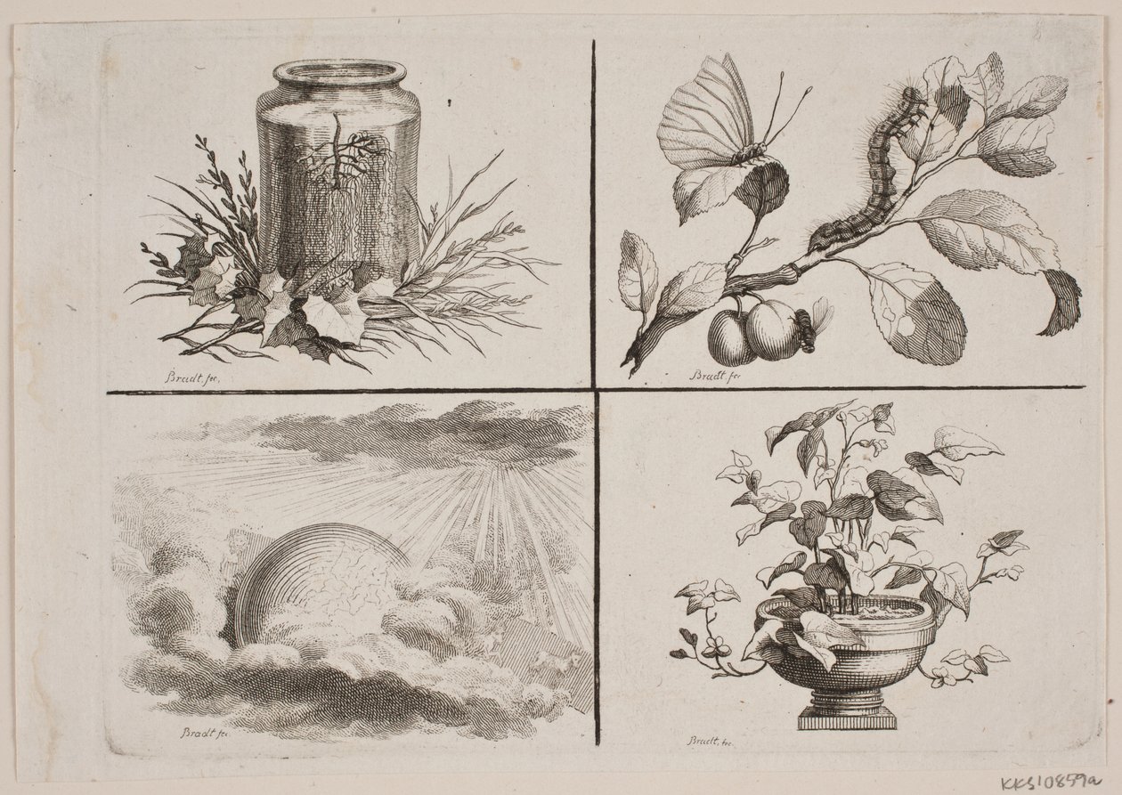 Vignetter for Bonnets verk av J.F. Clemens
