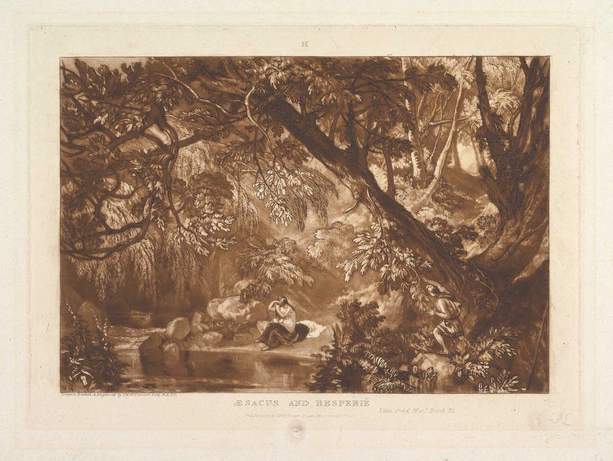 Aesacus and Hesperia, Video Ovid Metamorphoses, Bok XI Liber Studiorum, del X..., 1. januar 1819. av Joseph Mallord William Turner