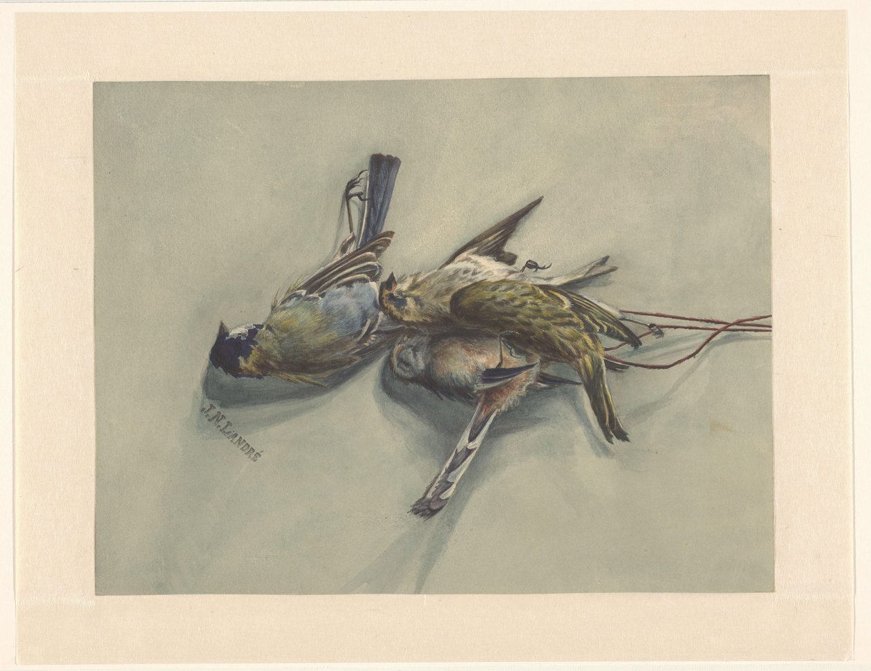 Stilleben med tre døde fugler av J.N. Landré (signed by artist)