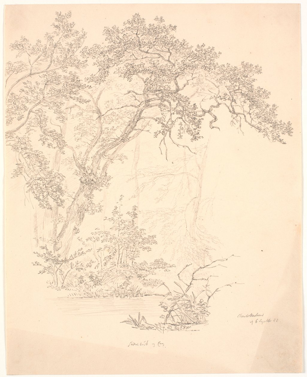 Trær av J.P. Møller