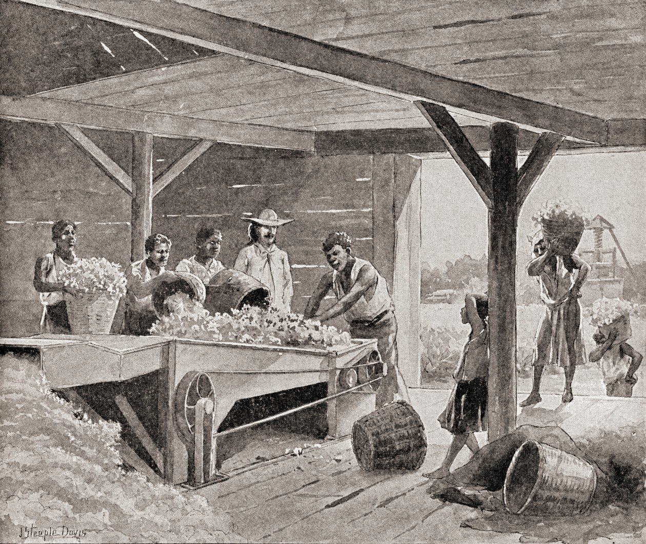 Slaver som arbeider med en bomullsgin fra 1800-tallet på en plantasje i en sørlig delstat i USA, fra 