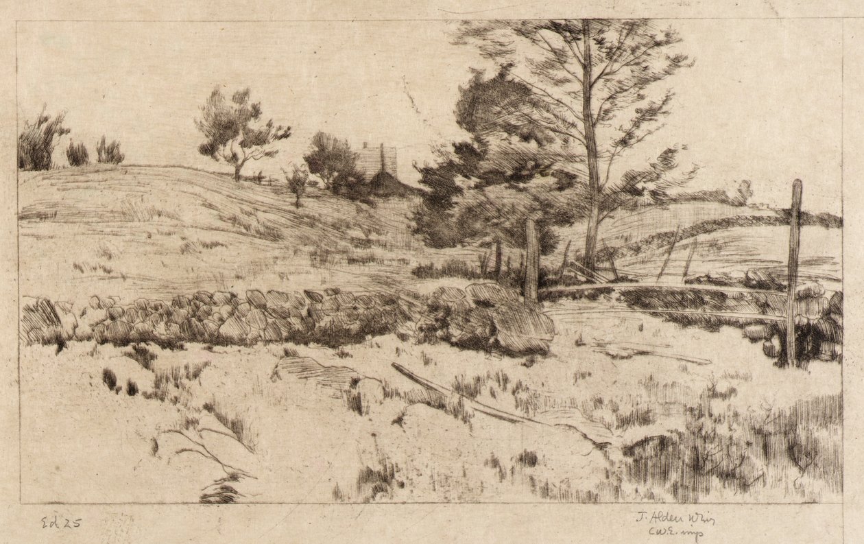  av J. Alden Weir