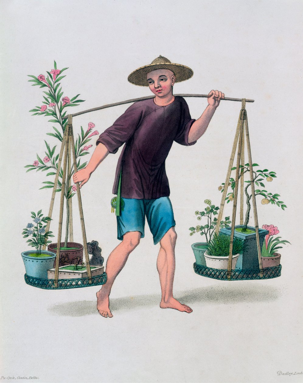 'En portør med frukttrær og blomster', Kina, 1800 av J Dadley