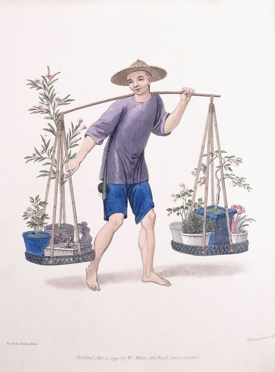 En portør med frukttrær og blomster, ca. 1800-01 av J Dadley
