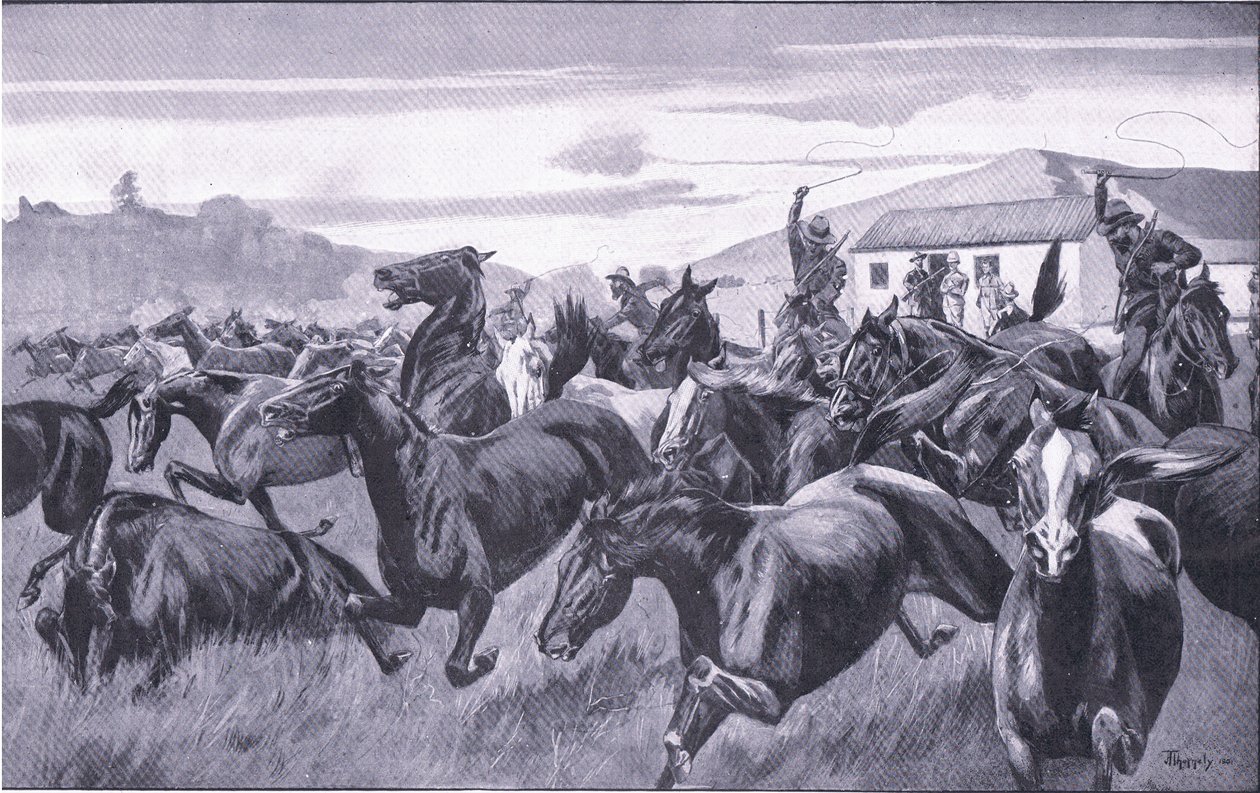 Boere som raiderer Remount Depot på Braamfontein, fra After Pretoria: The Guerilla War utgitt av Harmsworth Bros Limited, 1901 av J. H. Thornely