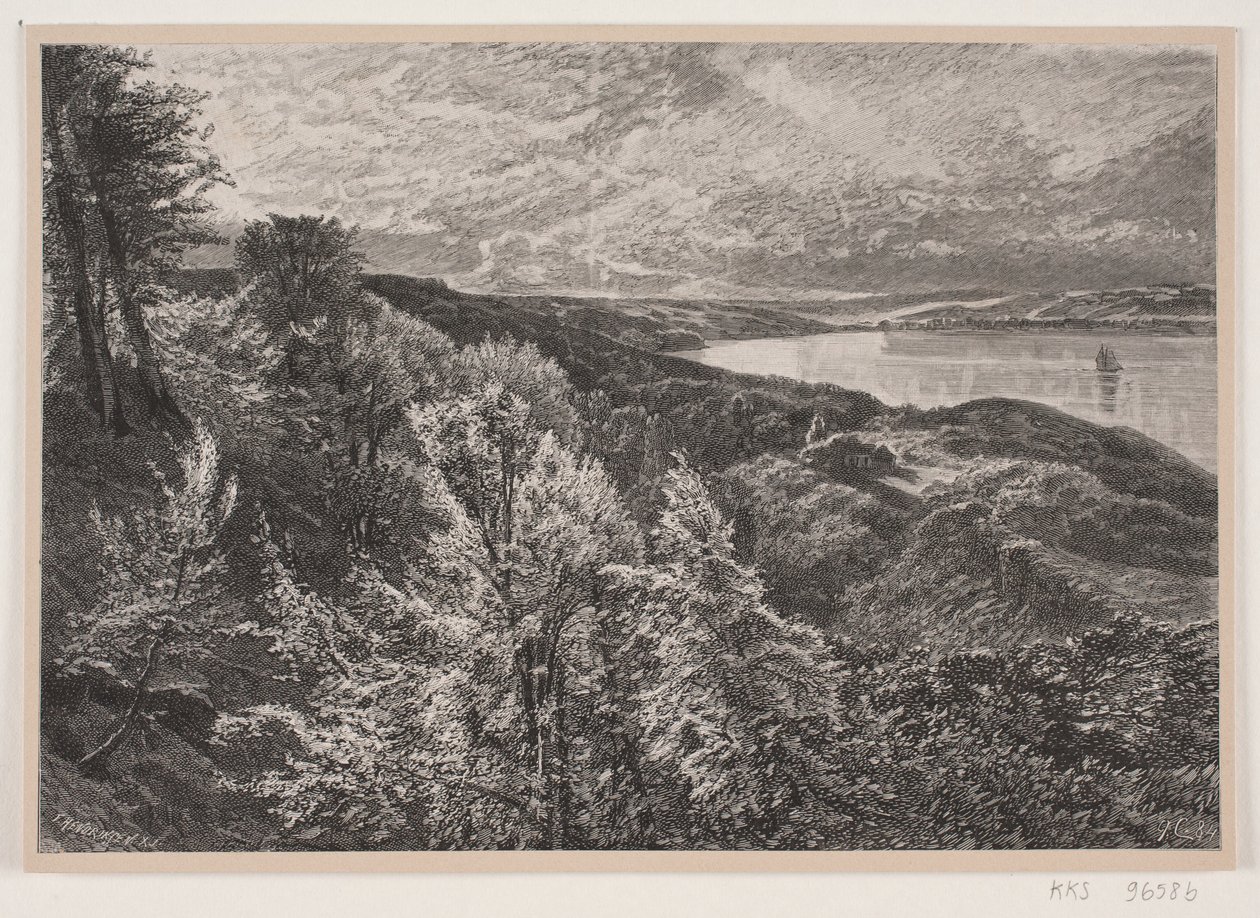Utsikt fra Munkebjerg over Vejle fjord av J. Hildebrand