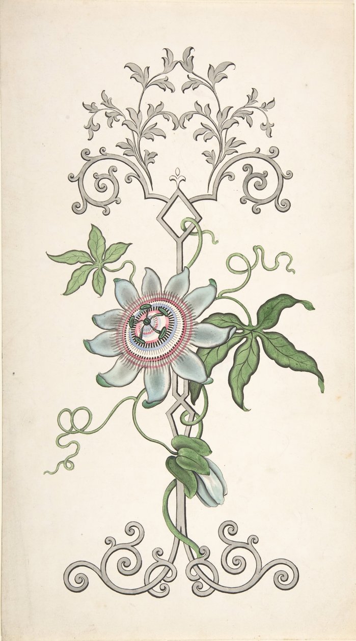 Design for paneldekorasjon sentrert på en lidenskapsblomst, 1828-40. av J Hulme