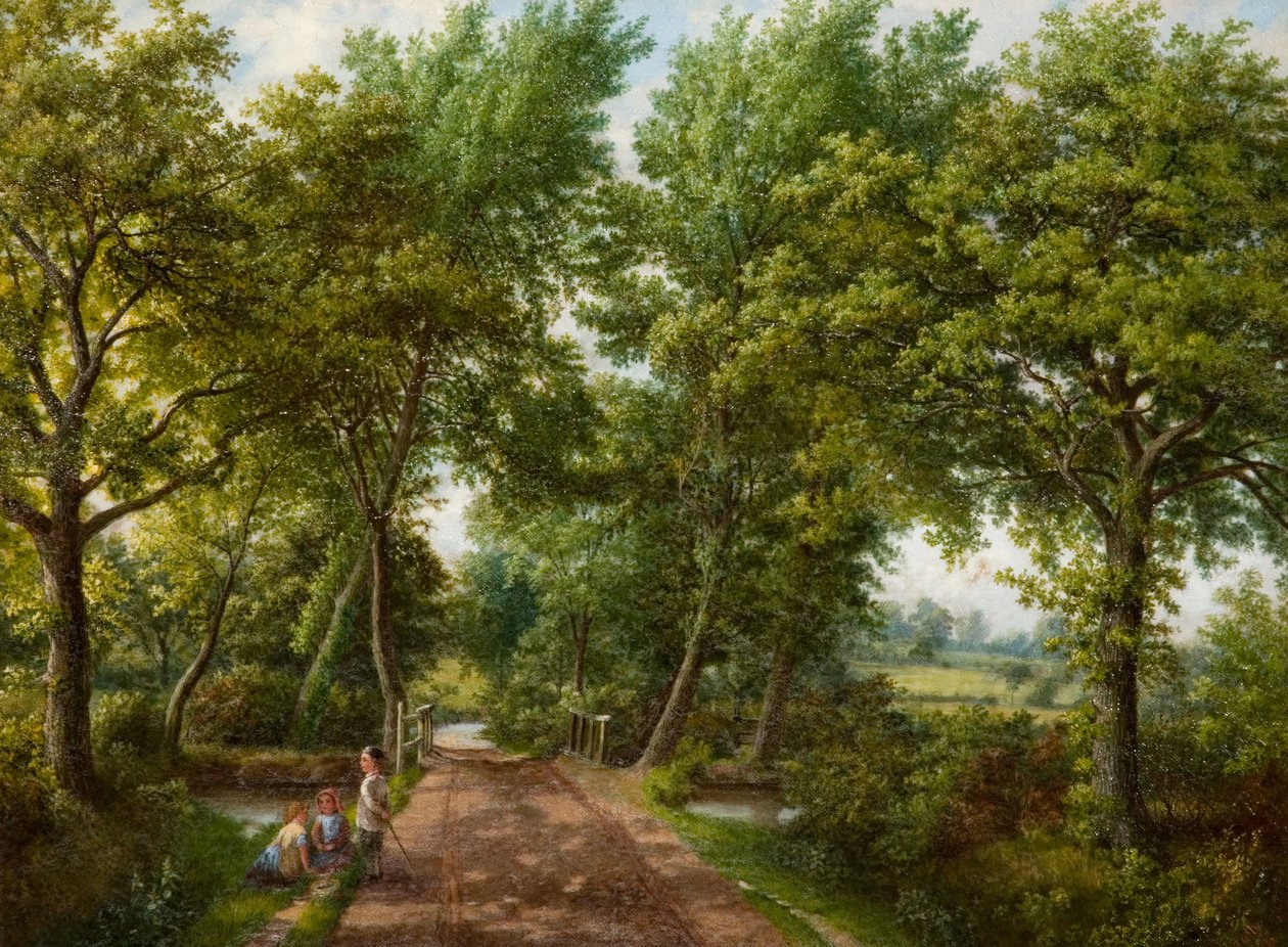 Hob Moor Road Ford, Birmingham, 1870-tallet. av J. Jolly