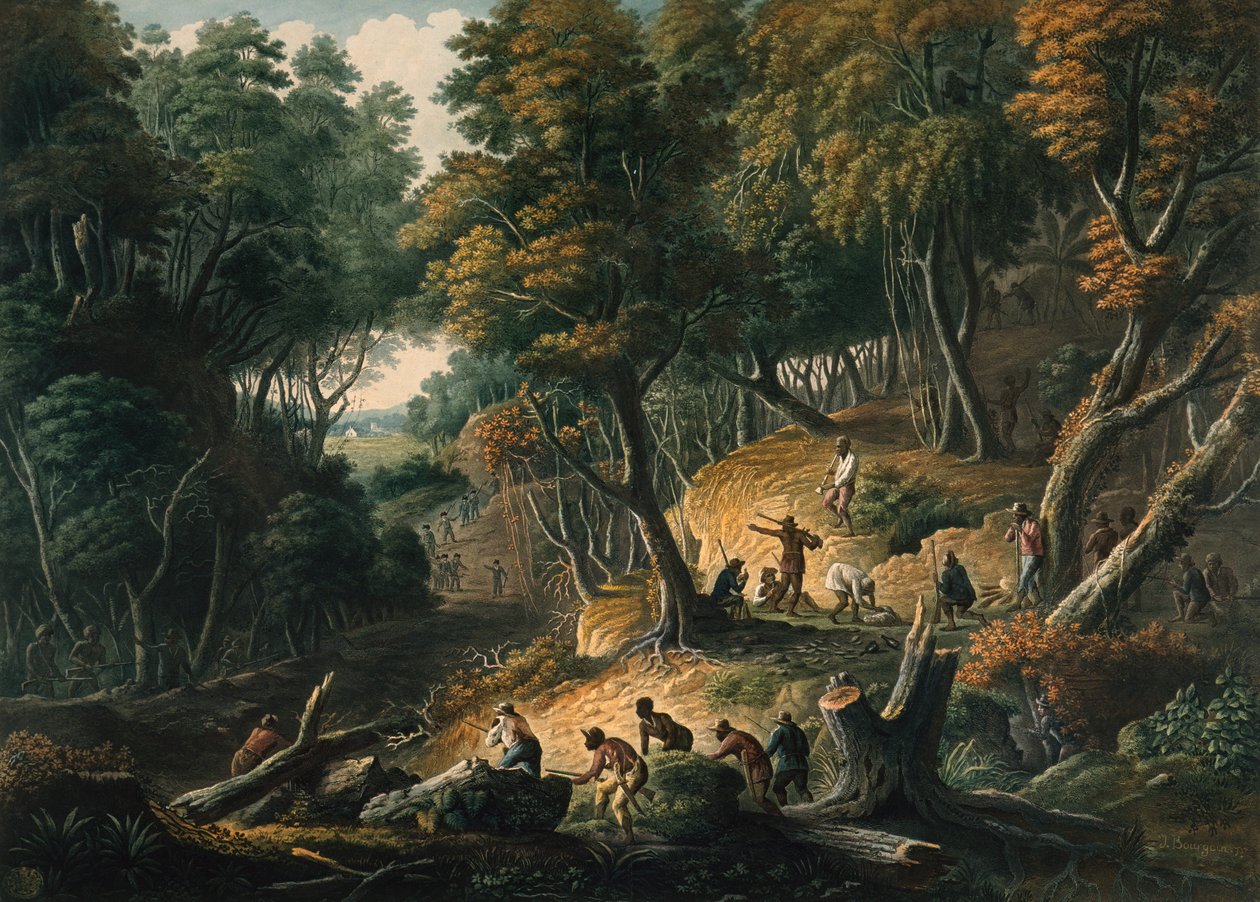  av J. Merigot