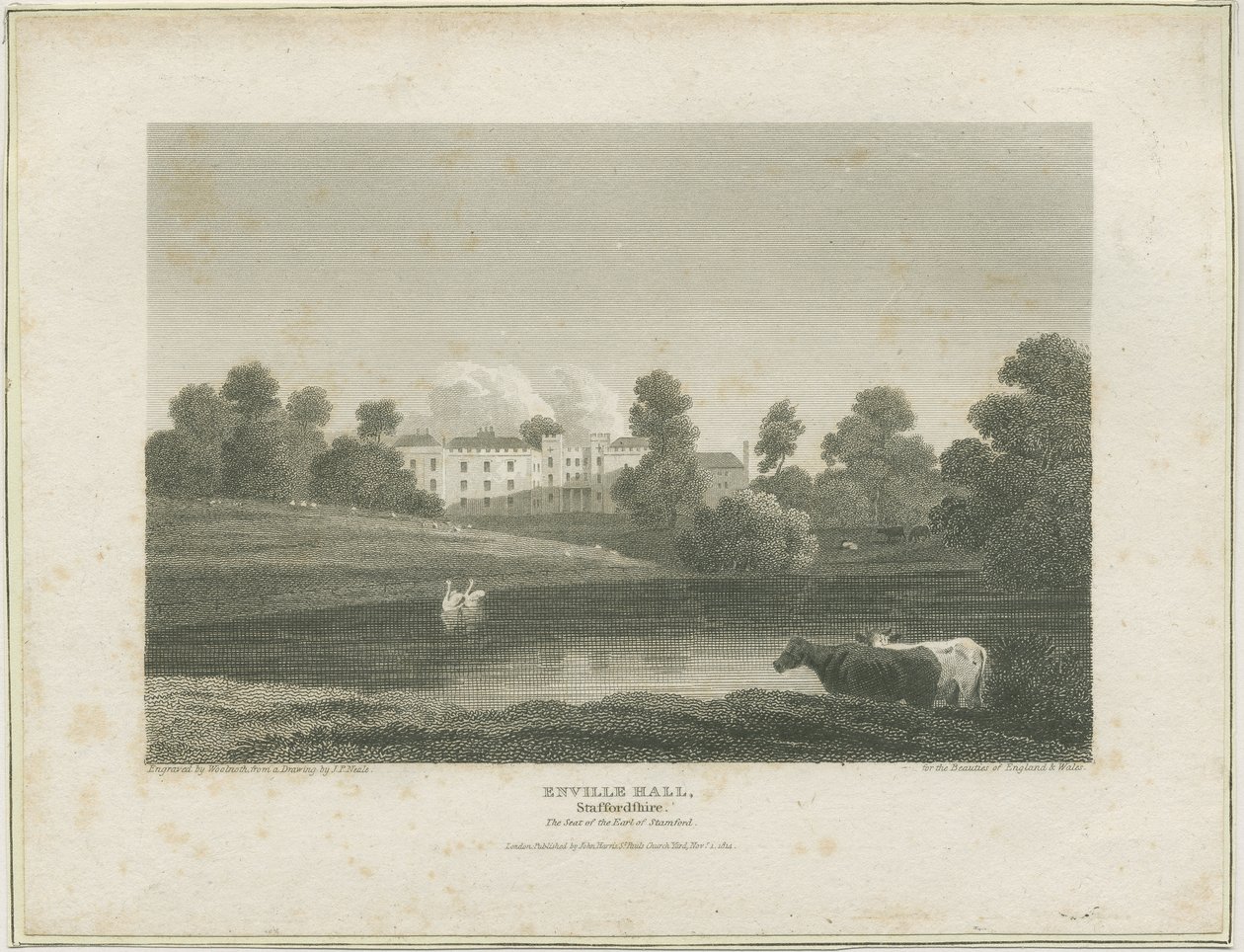 Enville Hall: gravering, nd [c 1814] (trykk) av John Preston Neale